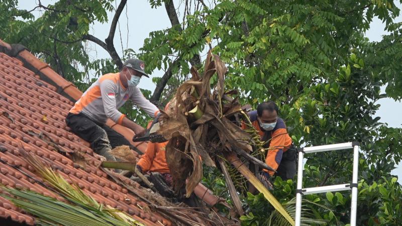 Hujan Dan Angin Kencang Melanda Karangasem Bali Tribune